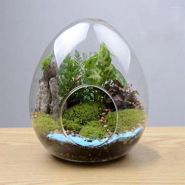 Vasi 1pc bottiglie di vetro a forma di uovo creativa succulente vaso idroponico micro paesaggio terrarium decorazione