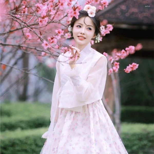 Roupas étnicas hanbok coreano feminino nobre vestido diário performance diariamente yanji figurino nacional pó tiro de viagem