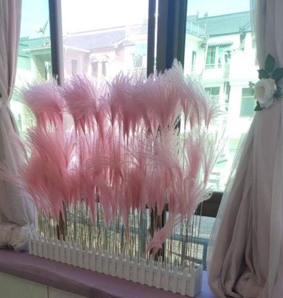 50pc Pampas naturale Pampas Grass Reed Fiori secchi decorazioni autunnali per casa Fiori reali decorazioni per la casa piante finte5284889