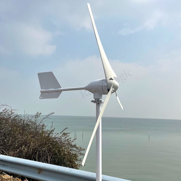 5000W 24 V 48 V 12 V Windgenerator 3 Klingen Horizontale Windturbine mit MPPT -Ladegerät und Strecke Wechselrichter Windmühle