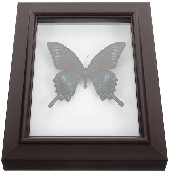 Cornici farfalle incorniciate incorniciate a mano Framello in legno in legno unica tassidermia da tavolo da tavolo da parete decorazione artistica opere d'arte