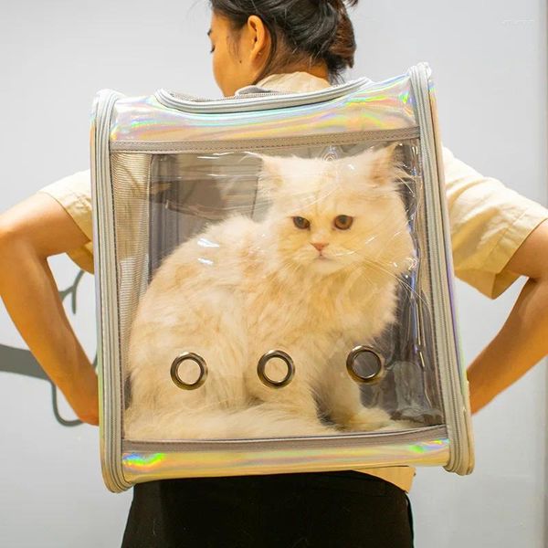 Carrier di gatti all'esterno dello zaino portatile grande spazio per cani trasparente sacca pieghevole