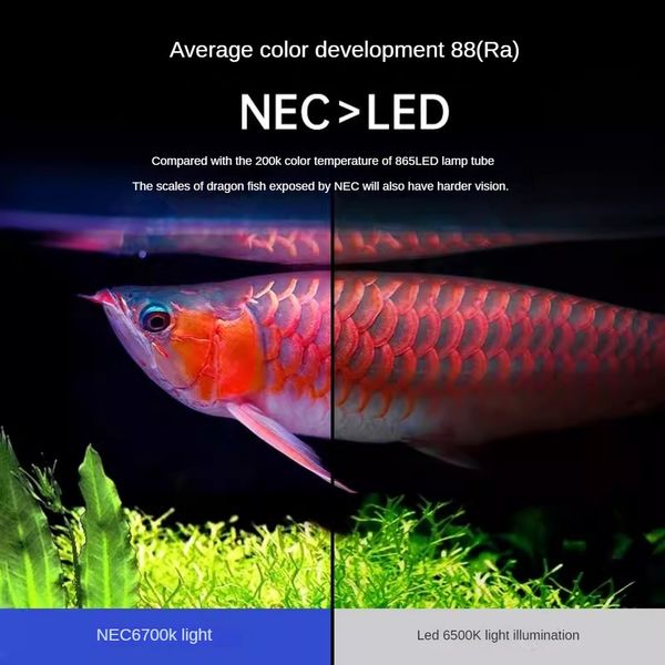 Luce d'acquario, lampada seducente Arowana, luce del serbatoio a LED T8 sommersi, 3 colori primari, 3000K, 6700K, 15000K, migliorano il colore del pesce