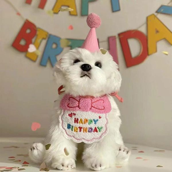 Hundekleidung macht das Geburtstag Ihres Haustieres mit diesem entzückenden Hut -Bandana -Set zu Besonderen!