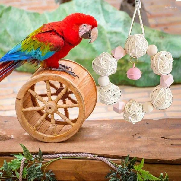 Altre forniture per uccelli giocattoli di parrocchetto rattan pappagallo morso per macaw grigio africani amano uccelli piccoli accessori