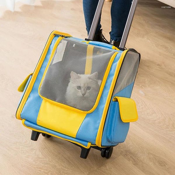 Кошачьи перевозчики складная паточная коляска для собак рюкзак рюкзак кошки мода на открытая водонепроницаем