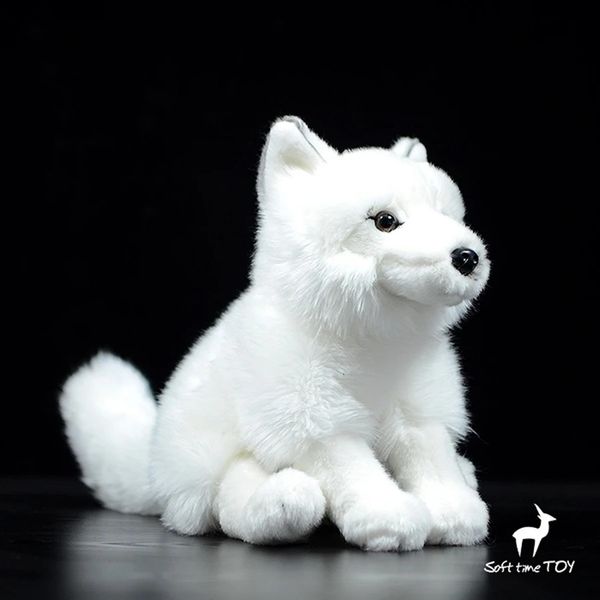 Arctic Anime Cute Plushie White Plush Plush Plushing Animals Simulation Simulato Bambola Kawai Toy Gifts Kids 240401