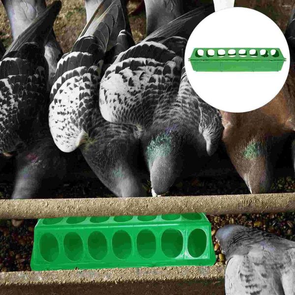 Outros suprimentos de pássaros Caixa de comida de pombo Birds Birds Recurting Bowl para Dispensador de Papóstica de Frango Slot Slot Poultry Trough Hummingbird