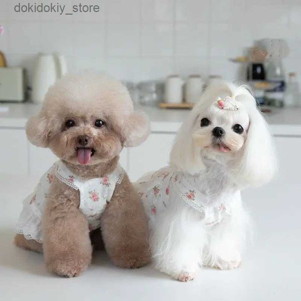 Hundebekleidung Kleidung Katze Rock Süßes Weibchen kommen Kleidung Chihuahua Yorkie Malteser Shih Tzu Bichon Pomeranian Pudel Pet Clothin 2023 L49