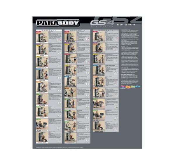 Body GS4 Sistema Gráfico de Exercício Poster Pintura Decoração de casa Decoração emoldurada ou não moldada material3088316c8137155