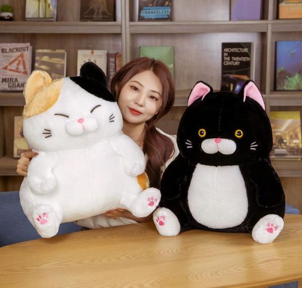 283642 cm adorabile gatto seduto giocattoli peluche carino cuscino per gatto animale bambole di peluche morbide kawaii decorazioni per la stanza di compleanno La3214101102