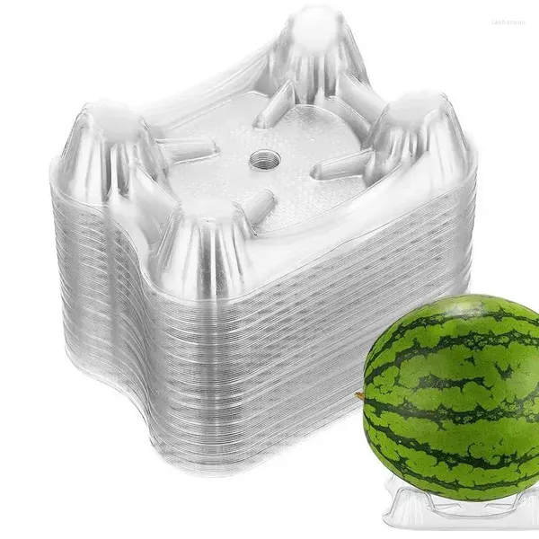 Stoviglie melone di stoviglie cradella da 20 libbre per la protezione del supporto per impianti di anguria di carico per il giardino 50 pezzi trasparenti