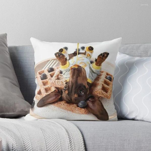 Cão de salsicha de travesseiro - Schmimini Dachshund joga estojo de luxo para casa