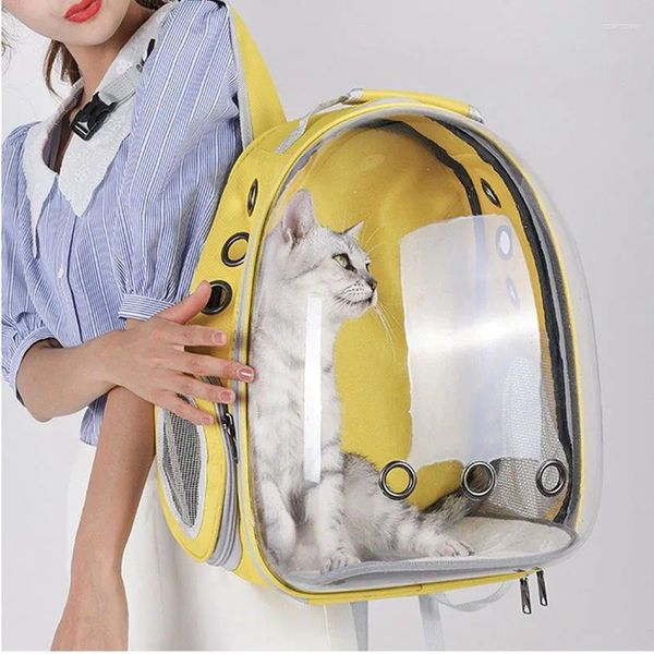 Cat Carriers Rucksack Koreanischer Stil aus tragbares transparentes Weltraum -Zettbeutel versorgt atmungsaktives Reisegeschenk