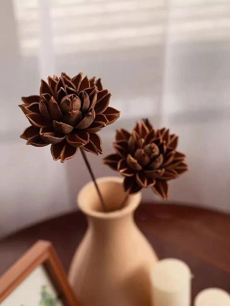 Flores decorativas Combinação de casca de planta Lotus Flor Wutong Homestay Retro Zen Redbud Decoração