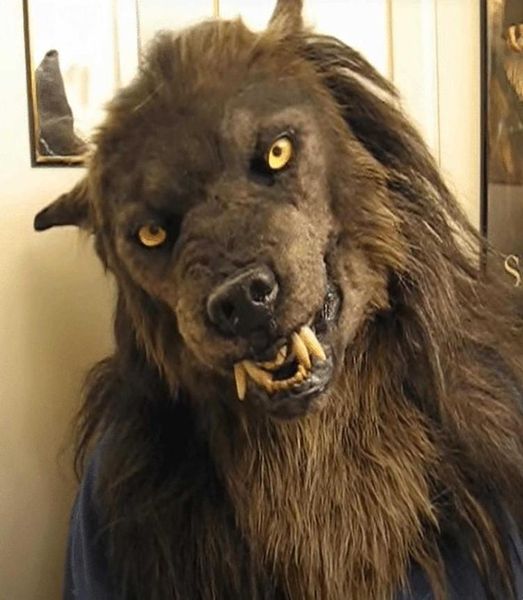 Werewolf cosplay coprifera di costumi di costume simulazione maschera lupo per adulti di Halloween festa cosply lupo lupo coperta a faccia piena x08038396625