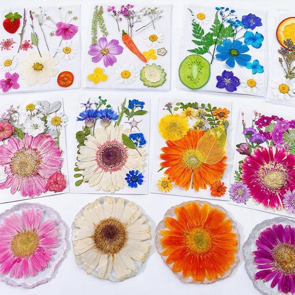 Fiori decorativi frutti secchi pressati per artigianato di gioielli che producono un telefono fai -da -te in resina epossidica che riempie decorazioni per nail art