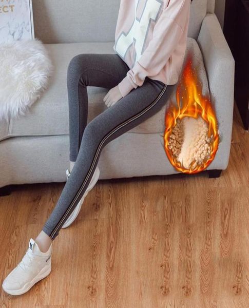 Maternidade Winter Warm Leggings Gravidez Calça de cintura alta grossa para mulheres grávidas Caso de veludo macio Roupas de roupas Bottoms8379582