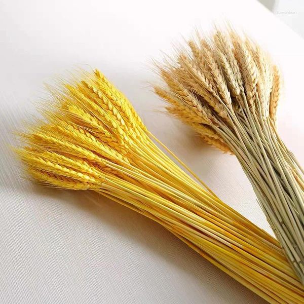 Dekorative Blumen 50pcs echtes Weizenohr natürliche getrocknete Brauthochzeitsstrauß Geschenke für Gäste Künstliche Dekoration Pampas