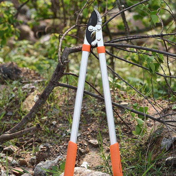 Langlänge Schere Hecke Ambos Scher-Anti-Rutsch-Grip-Garten-Schnitt-Handwerkzeug Ratchet geschnittener Baumzweig-Gartenwerkzeuge 240409