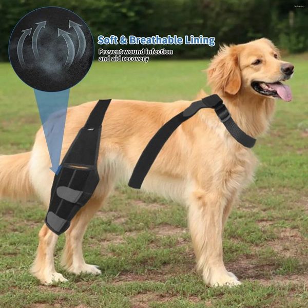 Dog Paps Pads Acessórios de filhote Suporte de cinto Knee