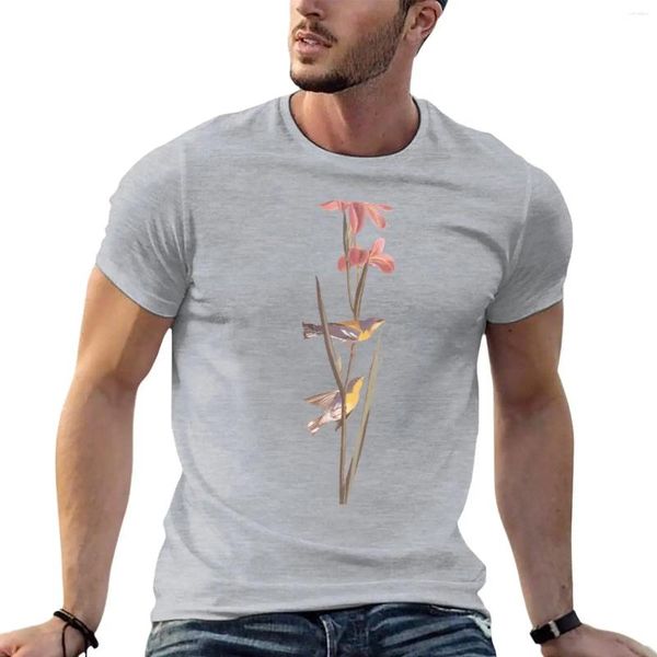 Erkek Polos Mavi Yellowback Warbler Audubon Baskı T-Shirt Gümrük Tasarlayın Kendi artı boyutu üstleri Özelleştirilmişler Erkek Uzun Tişörtleri