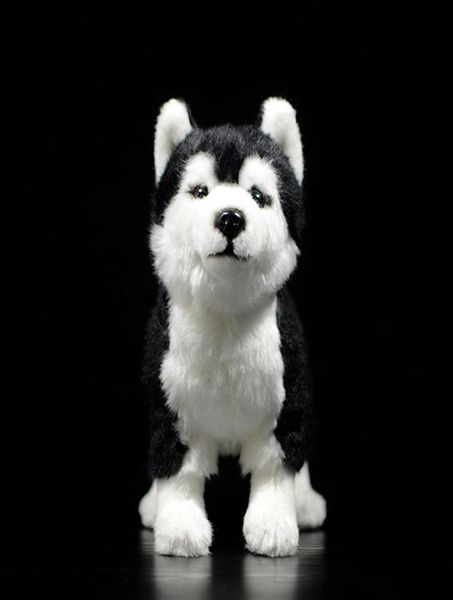 25cm Siberiano Husky Dog Pluxh Toy W Brownblue Olhos vitalícios Alasca Malamute Brinquedos de animais de pelúcia Presentes de Natal LJ2011264661220