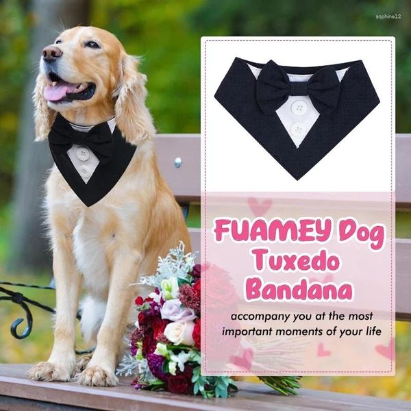 Collar per matrimoni da gatto elegante per un abito per cani con cravatta per papillon callottolo cucciolo di granco matto