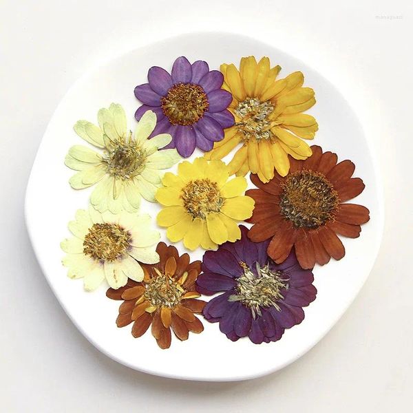 Fiori decorativi 60pcs pressati zinnia secchi elegans jacq a doppio fiore erbario in resina epossidica gioielli epossidici cartelloni segnalibri