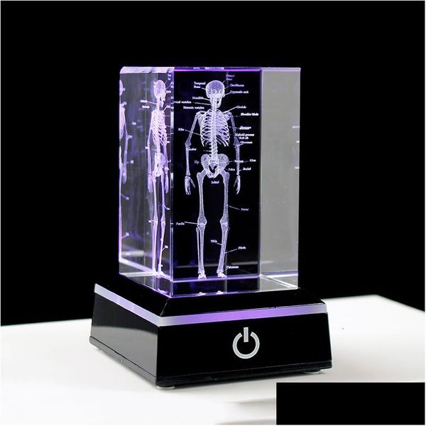 Dekorative Objekte Figuren Kristall 3D Lasergravierter menschliches anatomisches Skelett Würfel Modell Statue Papiergewicht Anatomie Mind Neurol Dhapu Dhapu