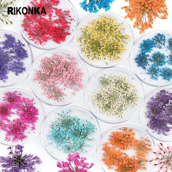 Decalques 10 caixas Mistura de flores secas Cor 3D Jóias de flores secas Conjunto para manicure Japão Coréia Polish Nails Charms Diy Epoxy Dicas