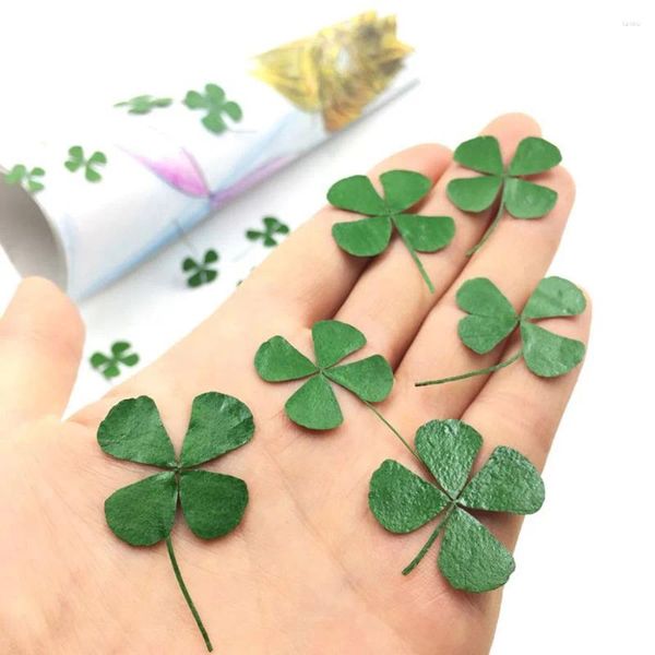 Flores decorativas 60pcs verde prensado folhas de 4 folhas de 4 folhas Lucky folhas herbário para brincos de anel de jóias