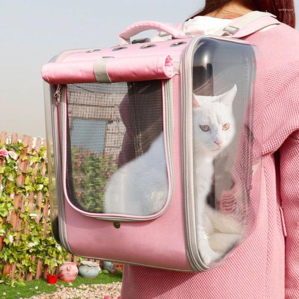 Transportadores de gatos Backpack Backpack Backpack Backpack de Backpat