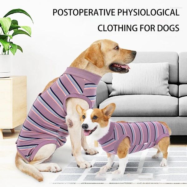 Hundebekleidung Herbst Winter Haustierkleidung für Hunde nach physiologischen Katzen können ein im Urin gepolsterter Vorräte anstellen
