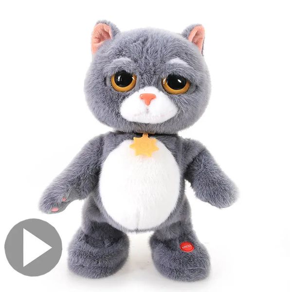 Electric Tabby Cat Toy Dancing Singing Cat Boll Boll Toyds for Children Gammio Electronic Animal Birthday Boy e Girl 240401