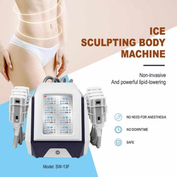 Altre apparecchiature di bellezza Freeze grasso Slim Massage Massaggio Cellulite Messaggi per perdita di peso Attrezzatura non chirurgica a 8 pad Uso commerciale Body Cont Cont