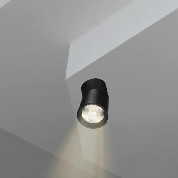 Luci a soffitto Spotlight LED Accento montato sulla luce interna per soggiorno