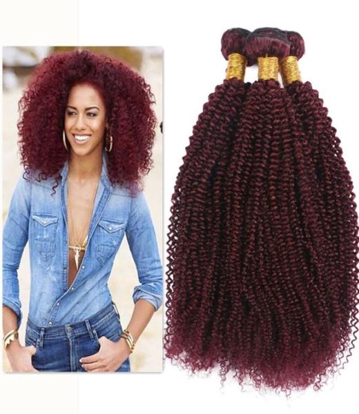 Brasilianische Jungfrau 99J Afro Kinky Curly Hair Web 3PCS Lot für schwarze Frau Burgund Kinky Curly Hair Scheuchte Verlängerung 1030 Zoll 728358001723