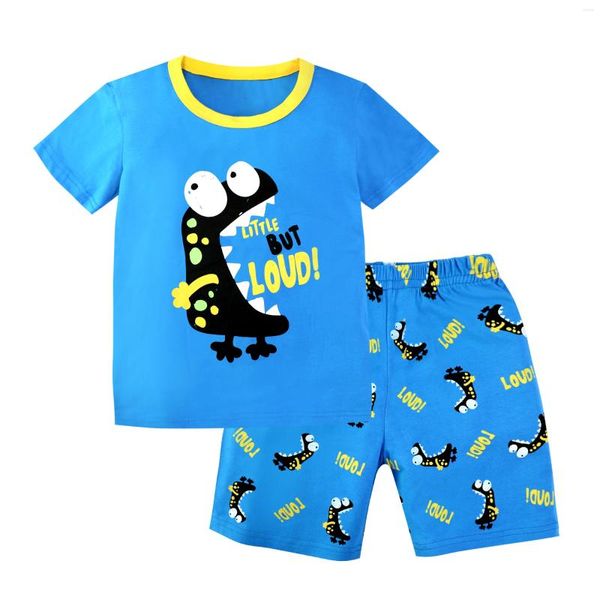 Kleidungssets Baumwoll -T -Shirt Shorts Set Sport Kid Boys Blue Kinder Kleidung Kleinkind Boy Tracksuit Weiches süßes koreanisches Sommer -Outfit 2024