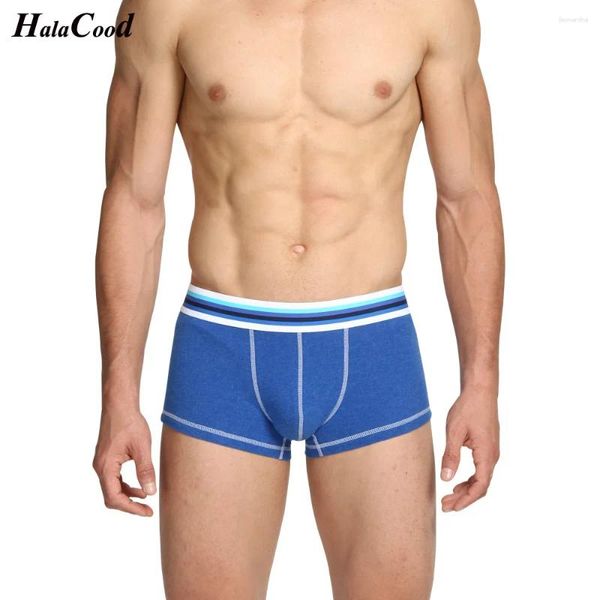 Underpants Brand Men Shorters Shorts Cotton Solid Masculina Cueca Fat