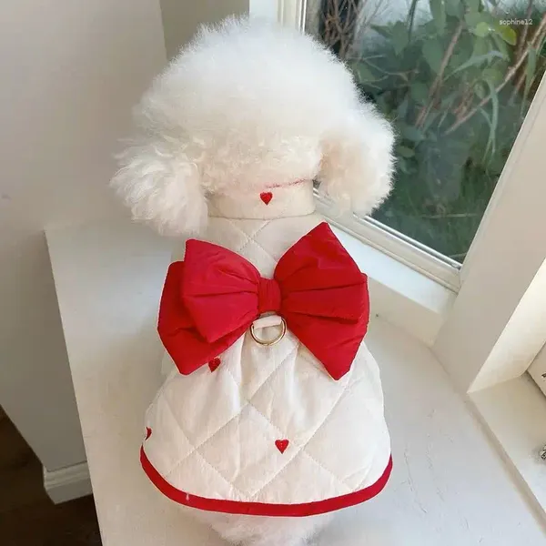 Abbigliamento per cani vestiti per animali domestici Autunno inverno inverno peluche Clip bottina abbottiglia o un orsacchiotto