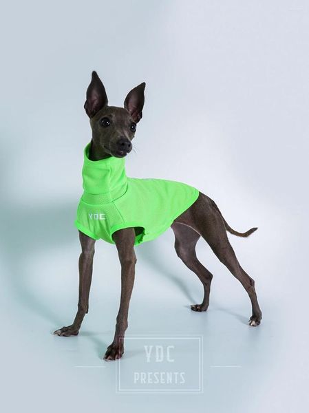 Abbigliamento per cani piccoli vestiti medium estate in rete traspirante Whippet Accessori levrieri italiani Cool