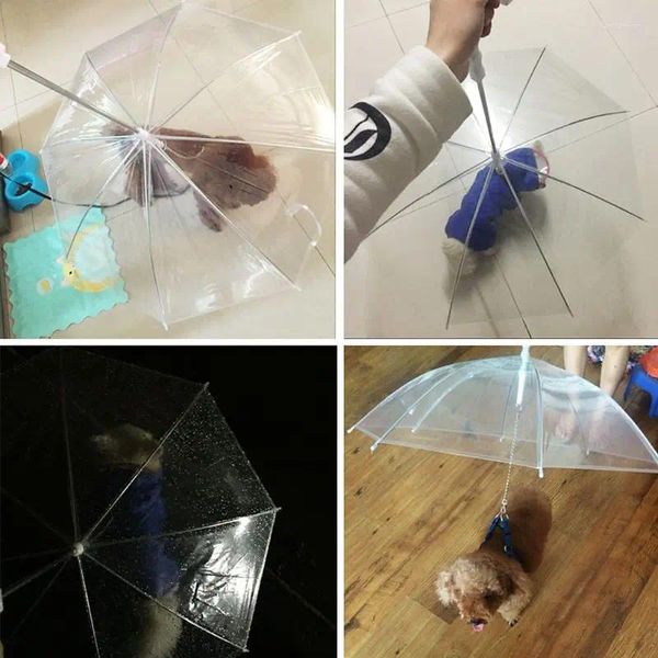Кошачьи носители Портативная прозрачная ходьба маленькая собачья зонтика с цепью сохраняет сухость в