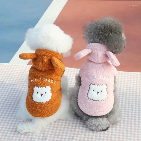 Vestuário de vestuário para cachorro Capuz Cloth Clothing Pet Autumn Winter Lamb Bordado Roupas de cachorro de ursinho de pelúcia de pelúcia