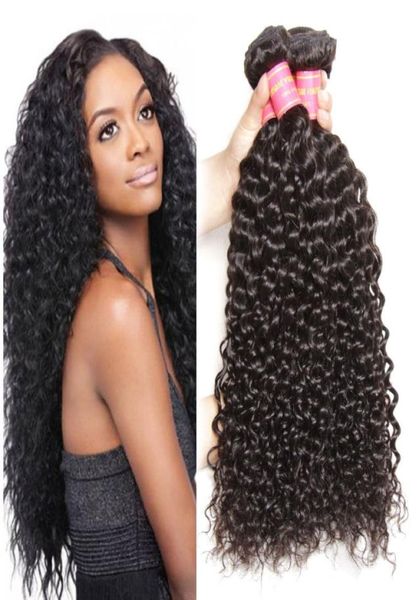 Capelli virginici indiani non trasformati, capelli vergini per capelli ricci te intrecciano estensioni di capelli naturale 100gbundle doppio trame 3bundles4027769