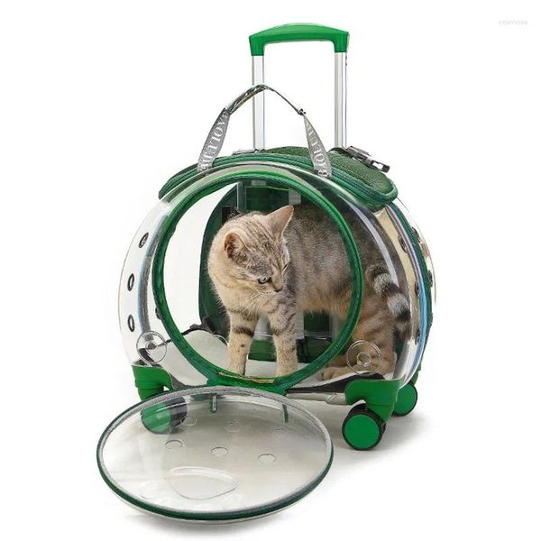 Cat Carrier 2024 Pet Gepäckkoffer geht mit tragbarem Lufttransparent -Beutel -Rucksack -Bubble Box aus