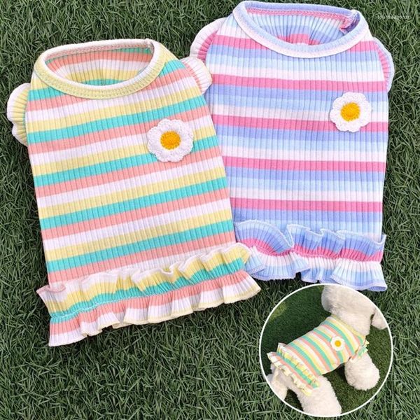 Abbigliamento per cani Summer Ruffle Princess Style Dresses Whiring Color Stripes Gritta per pet Shizia da fondo per abbigliamento da abbigliamento