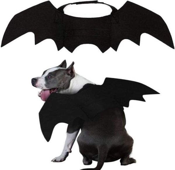 Abbigliamento per cani Pet Cat Bat Wings Halloween BATS BATS COSTUTTO AGHIETTO ABBIETTO per gatti cucciolo gattino cucciolo di grandi dimensioni di cani di grossa taglia A973541636
