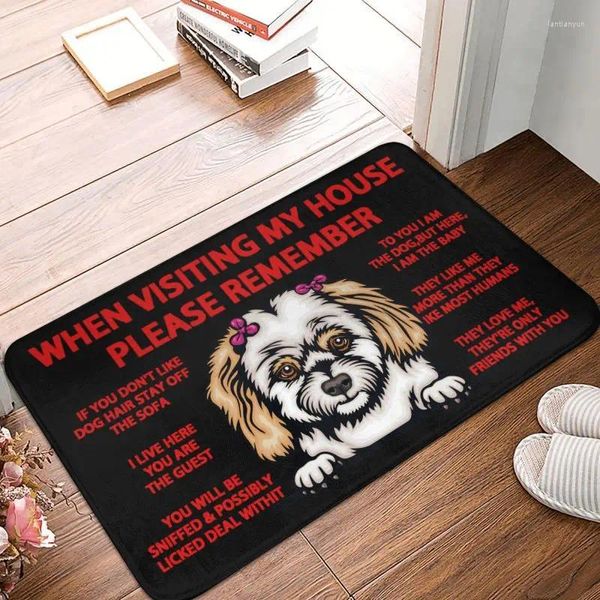 TAPTE CAPETS CHIUMAGGIO CUSCHIO SHIH TZU POORMAT ANTI CAMPIO BAGNA BAGNA CUSCINE TAPPEGGIO 40 CM