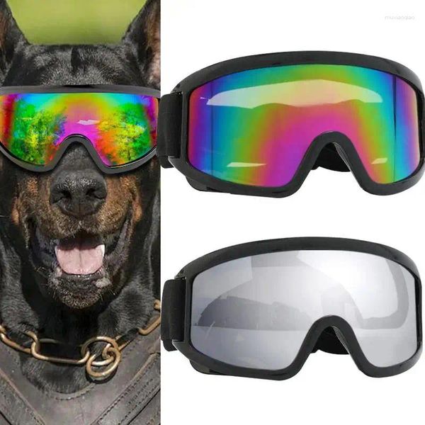 Goggle motociclistiche abbigliamento per cani O occhiali da sole UV regolabili in bici impermeabile per la polvere protettiva per animali domestici